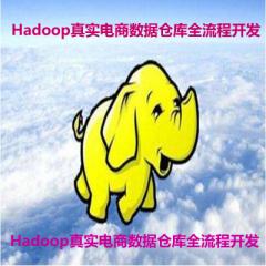 Hadoop真实电商数据仓库全流程开发视频教程下载