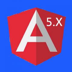 Angular5.x ant desigin入门实战视频教程（大地）