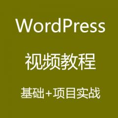 WordPress视频教程基础+项目实战