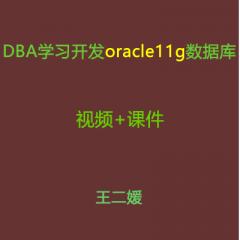 DBA学习开发oracle11g数据库视频教程带课件