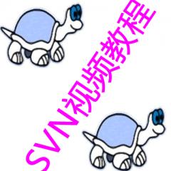 SVN视频教程下载