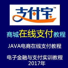 JAVA电商在线支付视频教程（电子金融与支付实训教程 ）