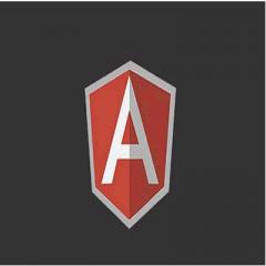 Angular RxJS+Redux高阶框架搭建企业协作平台视频教程下载