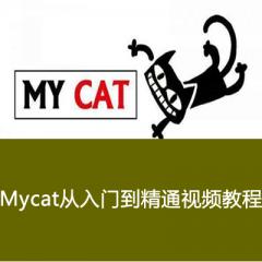 Mycat从入门到精通视频教程下载