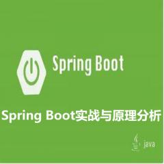 JavaEE Spring Boot实战与原理分析视频教程下载【下架】