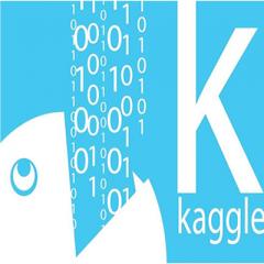 Kaggle案例项目实战视频教程下载