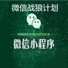 微信小程序开发视频教程下载（微信战狼计划）