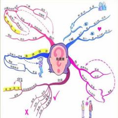 思维导图系列视频教程下载
