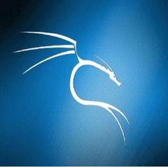 Kali Linux渗透测试视频教程下载
