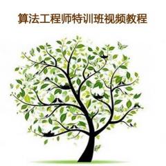 算法工程师特训班视频教程下载