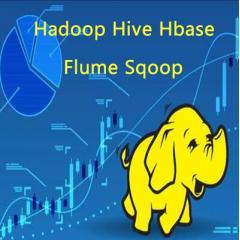 Hadoop Hive Hbase Flume Sqoop视频教程下载