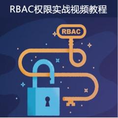 RBAC权限项目实战视频教程下载