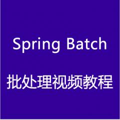 SpringBatch批处理视频教程下载