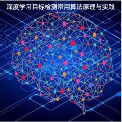 渔网什么原理视频_渔网美女(2)