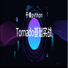 Tornado基础实战视频教程下载