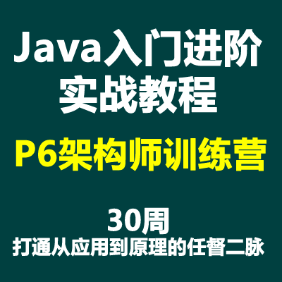 Java入门进阶系列实战系列教程-P6架构师训练营