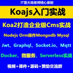 Koa2教程_Koajs企业级Cms入门实战、微服务、K8s云原生、Serverless入门实战-已完结148讲