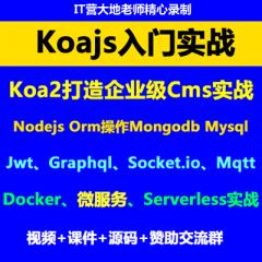 Koa2教程_Koajs企业级Cms入门实战、微服务、K8s云原生、Serverless入门实战视频教程（大地）